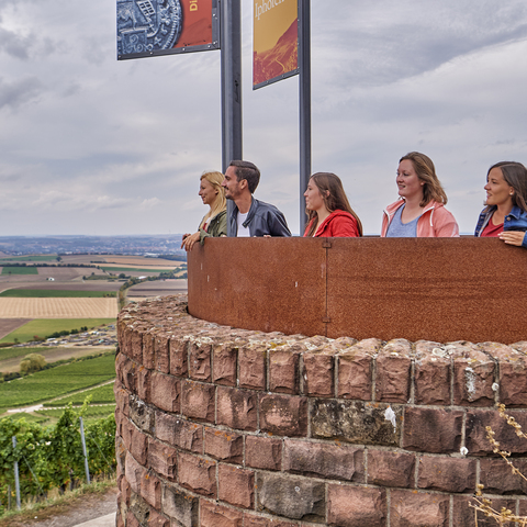 Iphofe terroir f © Steigerwald Tourismus e.V. / Fotograf Florian Trykowski