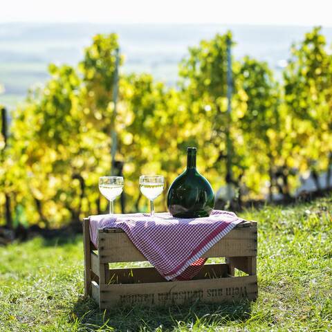 Weinflaschen 2015 ©F lorian Trykwoski