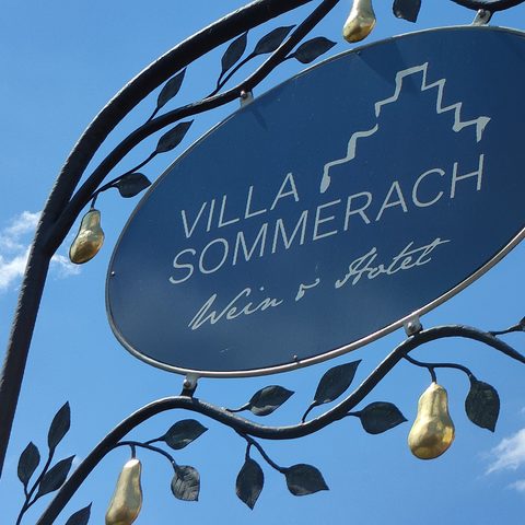 Sommerach Fotograf: Detlef Danitz