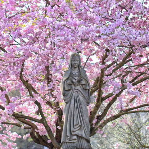 Bildstock Quelle: Gemeinde Großrinderfeld