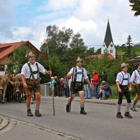 Weitnau Alpabtrieb Wengen Quelle: Allgäuer Seenland 
