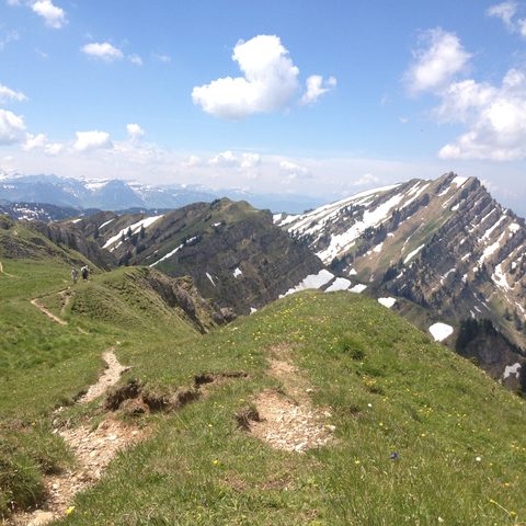 Naturpark-Wandern Bildnachweis: Stadt Immenstadt / Alpsee Immenstadt Tourismus GmbH