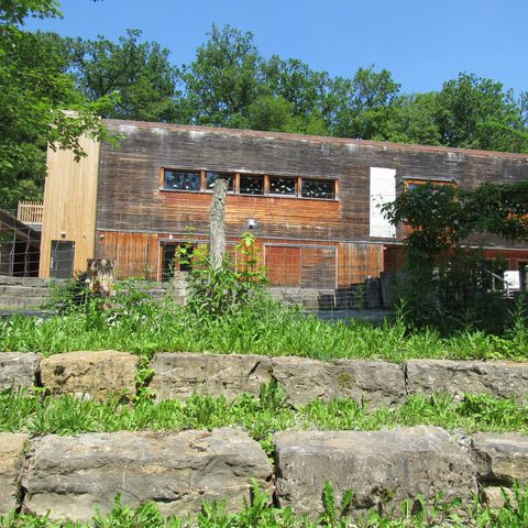 Walderlebniszentrum Gramschatzer Wald Quelle: Markt Rimpar / WEZ 