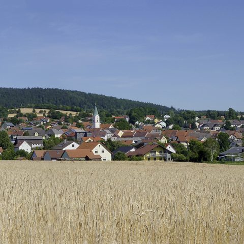 Waldthurn-Panorama Quelle: Tourismusbüro Waldthurn