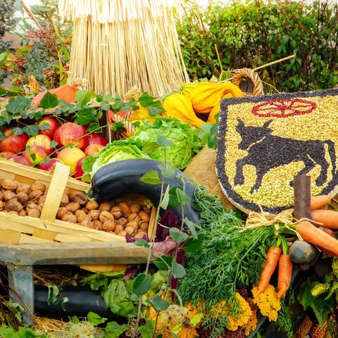 Ausstellung Bauernmarkt Großrinderfeld
Quelle: Gemeinde Großrinderfeld