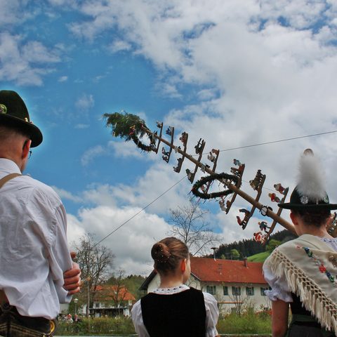 Weitnau Maibaum in Wengen  Quelle: Allgäuer Seenland 