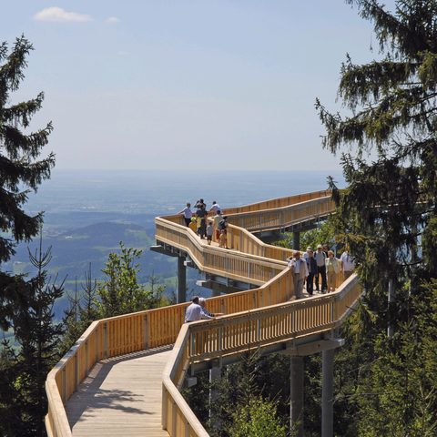 Waldwipfelweg Sankt Engmar © Waldwipfelweg GmbH Quelle: Tourismusverband Ostbayern e.V. 
