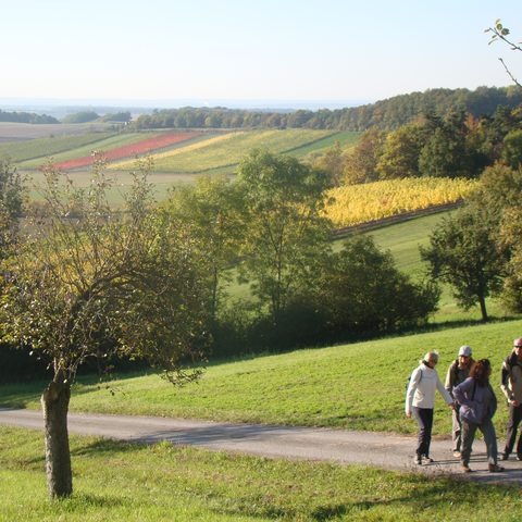 Auf der Genussroute Weinparadiesweg Quelle: Weinparadies Franken