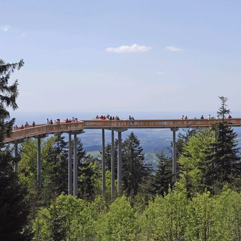 Waldwipfelweg Sankt Engmar © Waldwipfelweg GmbH Quelle: Tourismusverband Ostbayern e.V. 
