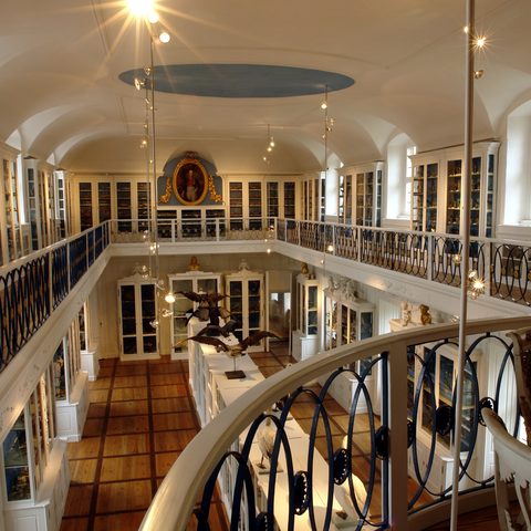 Naturkundemuseum Bamberg (c) Naturkundemuseum Foto Gerhard Schlotzer