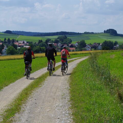 Radwandern im Naturpark
© Naturpark Augsburg