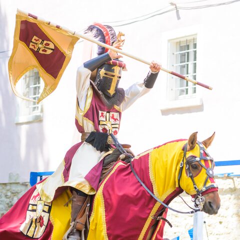Uffenheimer Rittertage Bildrechte: Stadt Uffenheim Fotograf: Detlef Seliger