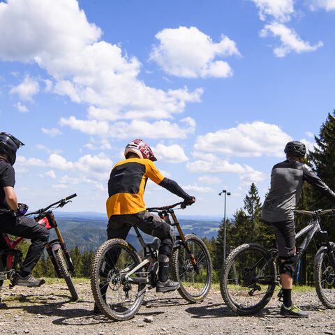 © Kevin Vog
 Regionalverband Thüringer Wald Quelle: Touristinformation Steinach
