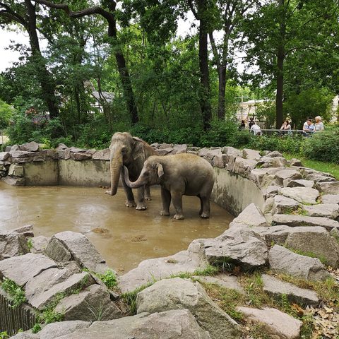 Zoologischer Garten , Berin Fotografn: Detlef Danitz