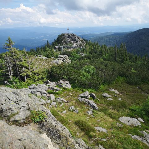 Großer Arber Bayerischer Wald Fotograf: Detlef Danitz