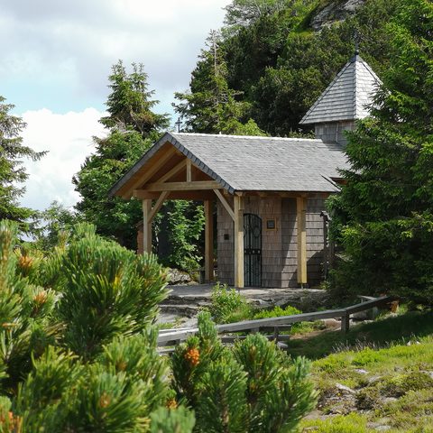 GrosseR Arber Fotograf: Detlef Danitz