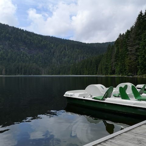 GrosseR Arbersee Fotograf: Detlef Danitz