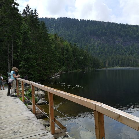 GrosseR Arbersee Fotograf: Detlef Danitz