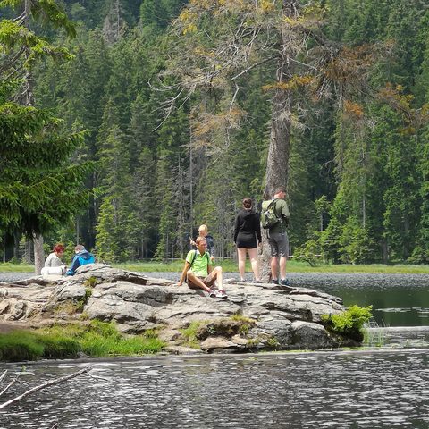 GrosseR Arbersee Fotograf: Detlef Danitz