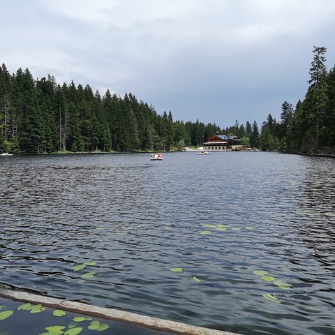 GrosseR Arbersee Fotograf: Detlef Danitz