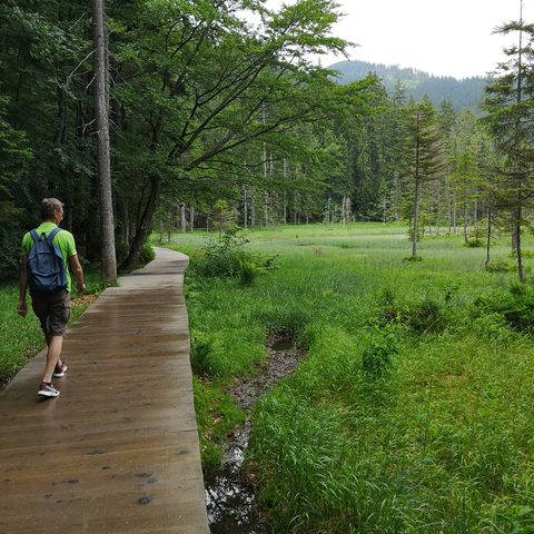 GrosseR Arbersee Fotograf: Detlef Danitz