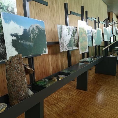 Haus zur Wildnis Grosse Arbersee Fotograf: Detlef Danitz