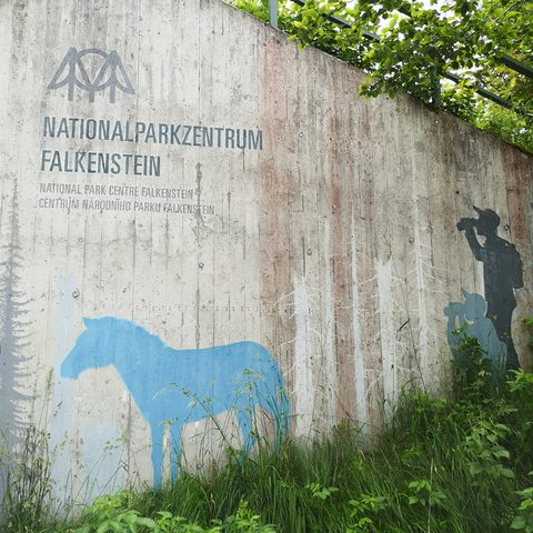 Bayerischer Wald Lindberg   Fotograf: Detlef Danitz