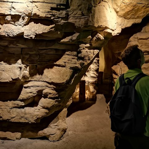 Bayerischer Wald Lindberg   Fotograf: Detlef Danitz