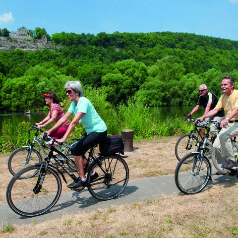  Umgebung Volkach Fotos: Agentur ZUDEM / Nitschke & Hünting