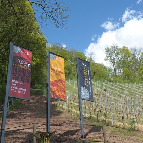 terroir f - Sergej Chernoisikov Bildrechte: Marktgemeinde Oberschwarzach