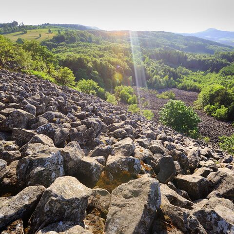 Schafstein im Sommer © Gemeinde Ehrenberg (Rhön)