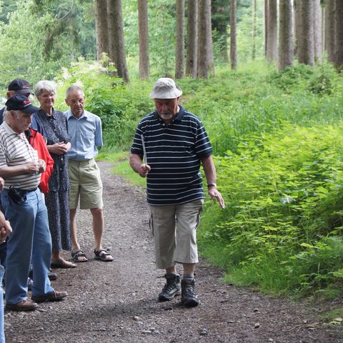 Buchenberg_Wasserschmeckerweg Quelle: Allgäuer Seenland 