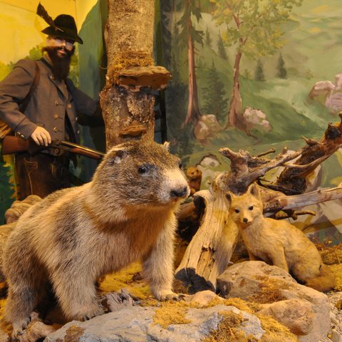 Heimatmuseum Bildrecht: Bad Hindelang Tourismus/ Wolfgang B. Kleiner