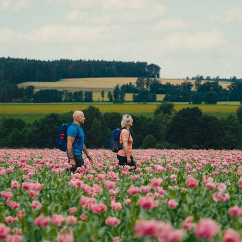 © Gäste-Information Bad Neualbenreuth
