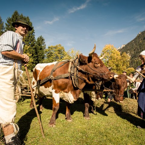 © Ruhpolding Tourismus GmbH