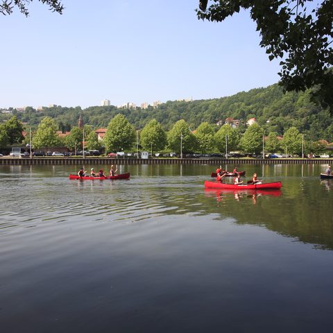 ©TOURISMUS REGION WERTHEIM/Peter Frischmuth/Argus