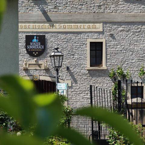 Sommerach Fotograf: Detlef Danitz