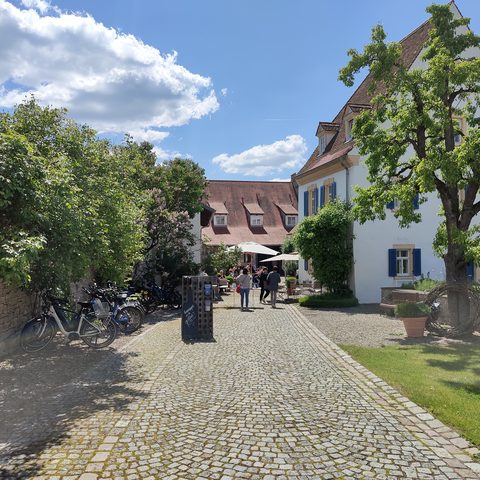 Sommerach Fotograf: Detlef Danitz