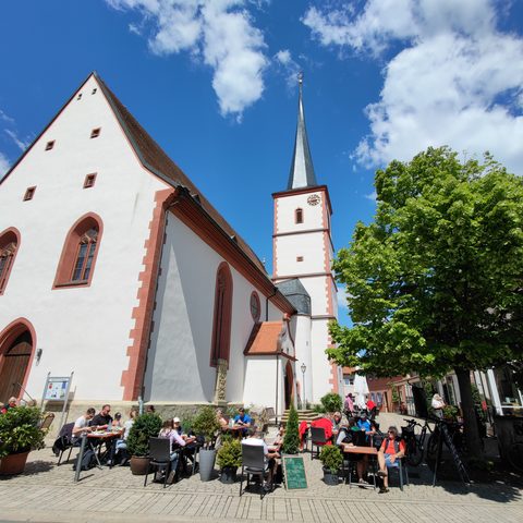 Sommerach Fotograf: Detlef Danitz
