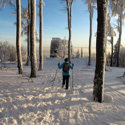 Winterwandern HirschensteinSt. Englma © Tourismusverband Ostbayern e.V.