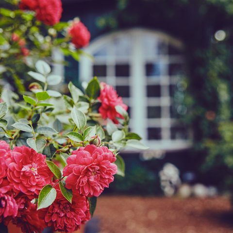 Prichsenstadt Quelle: Stadt Prichsenstadt