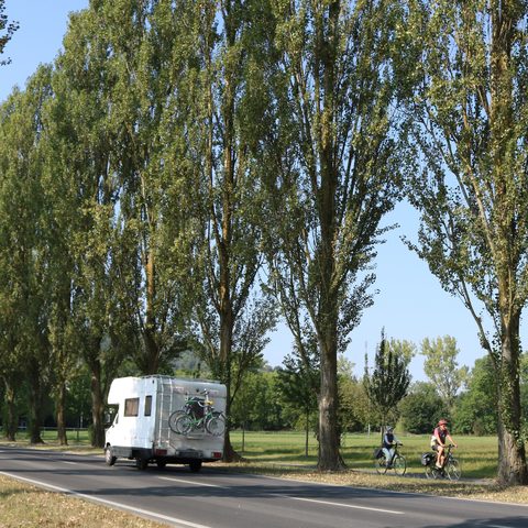 Rad Camping Quelle: Stadt Laud-Königshofen / Kamala_Börnge