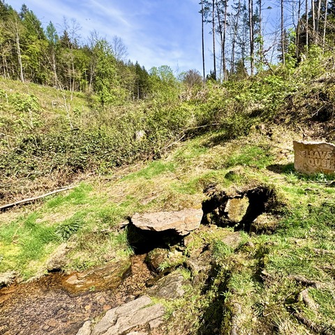 Elsavaquelle © Touristikverband e.V. RÄUBERLAND