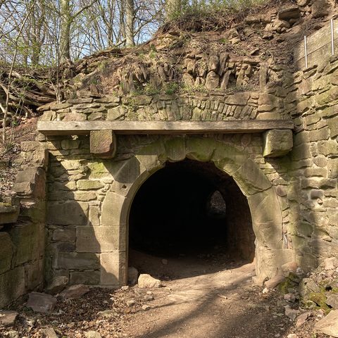 Ruine Hohenlandsberg Quelle: Weinparadies Franken