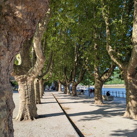  © Detlef Danitz / LINUS WITTICH Medien

