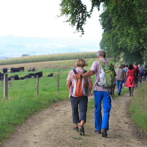 Stadt Oettingen Wandern auf dem Oettinger Fürstenweg @ Schramm. Quelle: Tourist-Information Oettingen 