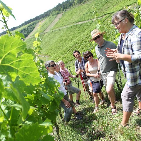 Hammelburg  - Weinbergsführung Fotograf: Karl-Josef Hillenbrand Quelle: Tourist-Information / Stadt Hammelburg