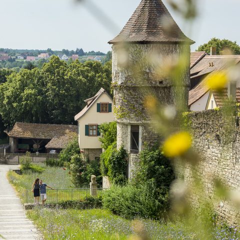 Stadtmauer Felsenkeller Dettelbach  © Andreas Hub   Quelle: KUK Dettelbach
