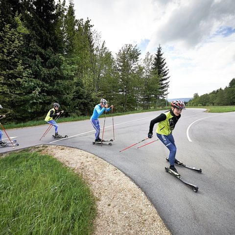 Rollerbahn Fichtelberg Neubau Ochsenkopf © Tourismus GmbH Ochsenkopf Quelle: Gemeinde Fichtelberg