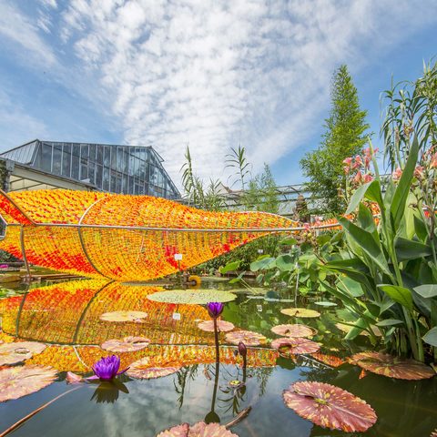 Botanischer Garten © ETM Arne Seebeck